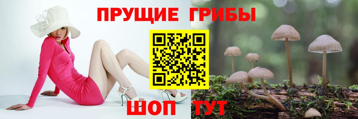 Кемерово  Псилоцибиновые грибы GOLDEN TEACHER  Вход с VPN 